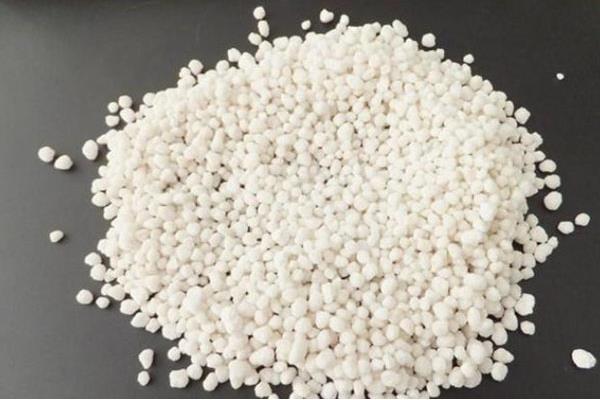 小葱的播种时间，春季在3-4月份播种