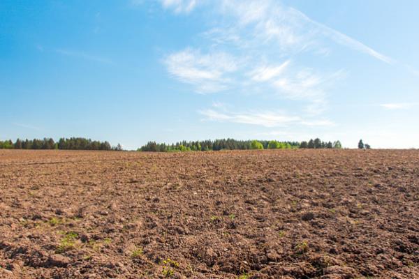 香瓜栽前的注意事项，酸碱度pH为7.0左右为宜