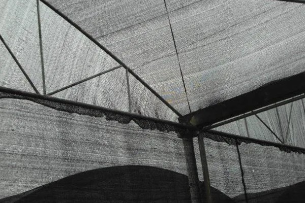 蔬菜大棚夏季如何遮阳，可以使用遮阳网