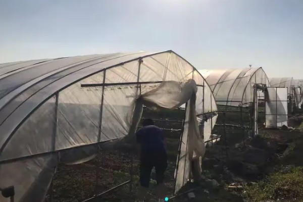 蔬菜大棚夏季如何遮阳，可以使用遮阳网