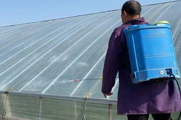 蔬菜大棚夏季如何遮阳，可以使用遮阳网