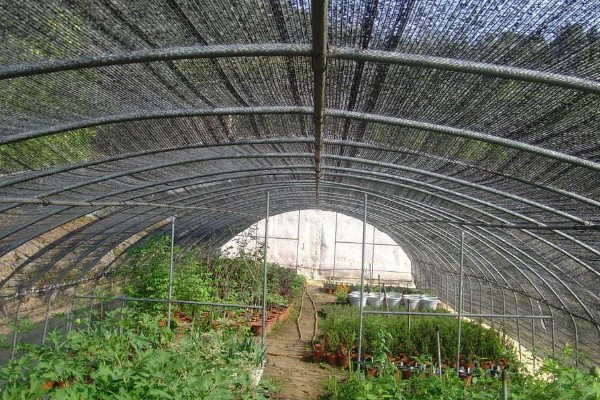 蔬菜大棚夏季如何遮阳，可以使用遮阳网