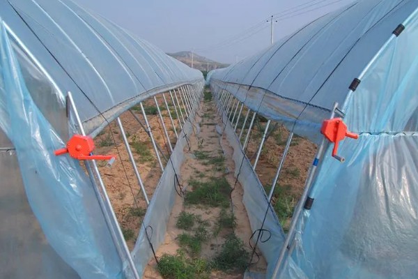 蔬菜大棚夏季如何遮阳，可以使用遮阳网