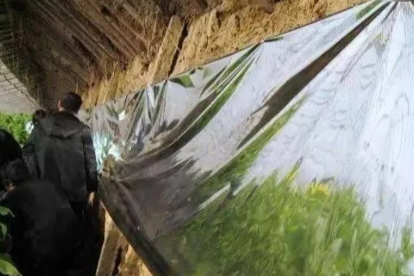 蔬菜大棚夏季如何遮阳，可以使用遮阳网