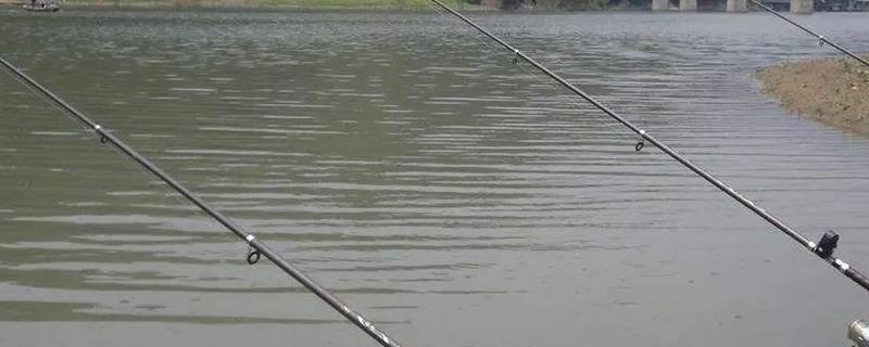 好用的矶钓竿有哪些，推荐矶风、金帆等