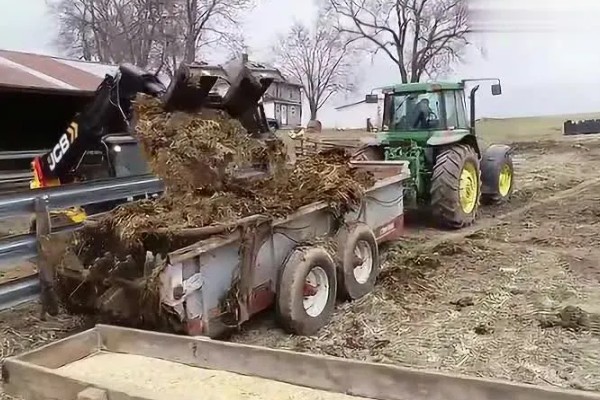 养牛的方法，每天饲喂3次