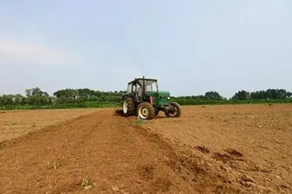 玉米的种植要点，开好主沟、围沟和厢沟有利于排灌