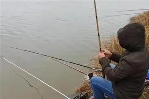 冬天什么时候钓鱼,一般建议选择晴天中午