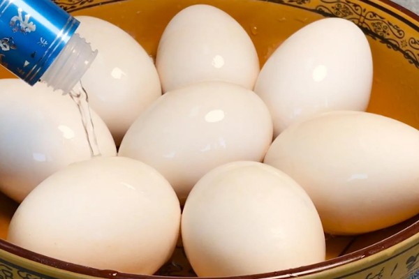 小鹅啄壳要喷水吗,应当继续喷水