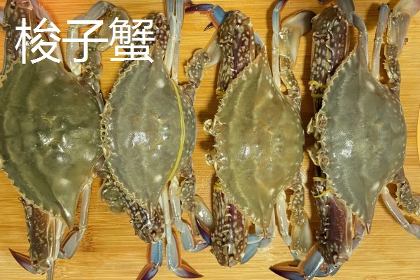 梭子蟹和大闸蟹的区别，科属和味道均不同