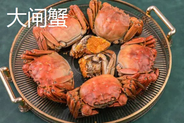 梭子蟹和大闸蟹的区别，科属和味道均不同