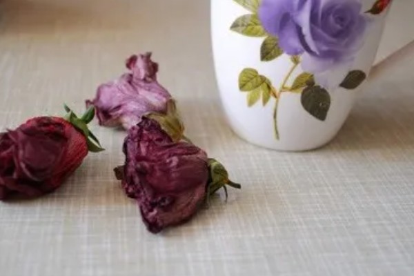 芙蓉花怎样做成干花，置于阴凉通风的环境中倒挂晾干
