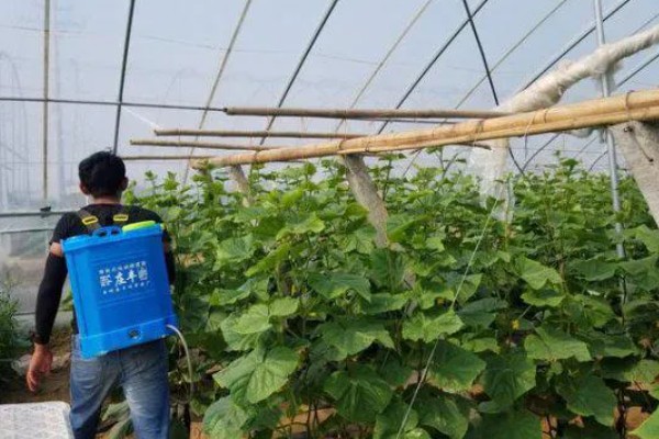 辛硫磷特性与防治对象，以触杀和胃作用为主