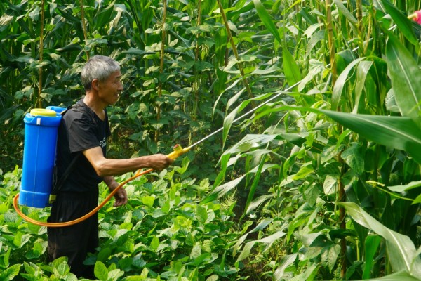 辛硫磷特性与防治对象，以触杀和胃作用为主