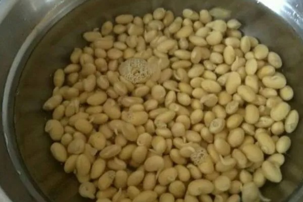 大豆的种植方法，在每年的4-5月份进行