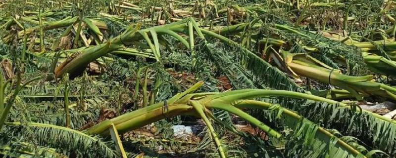 台风来临前要准备什么，要及时关紧门窗