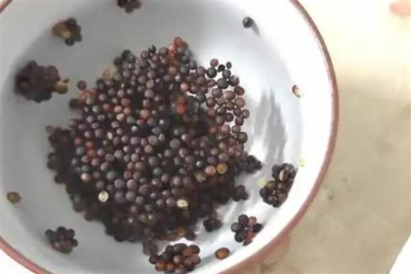 蔬菜浸种的方法，可用常温水浸种、温汤浸种等