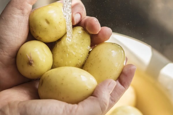 土豆常见的病害和用药，常见的有早疫病、叶斑病等