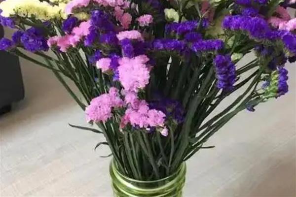 勿忘我插花要不要放水，是需要放水的