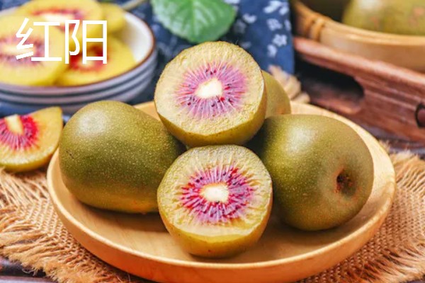 什么品种的猕猴桃口感好，推荐红阳、楚红等