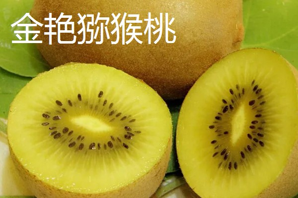 什么品种的猕猴桃口感好，推荐红阳、楚红等