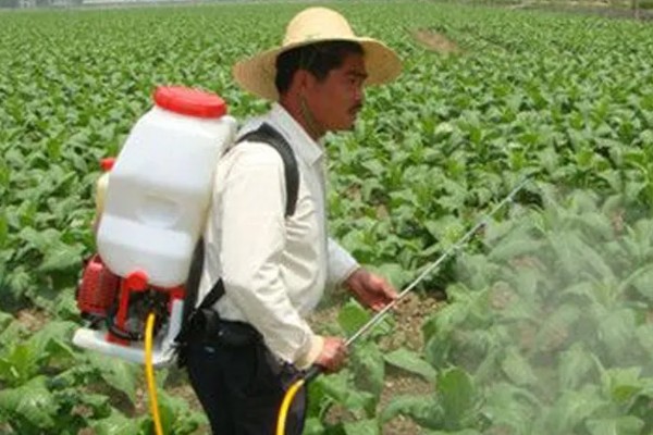 滴酸草甘膦的特点,可彻底根除杂草
