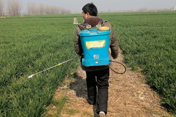 滴酸草甘膦的特点,可彻底根除杂草