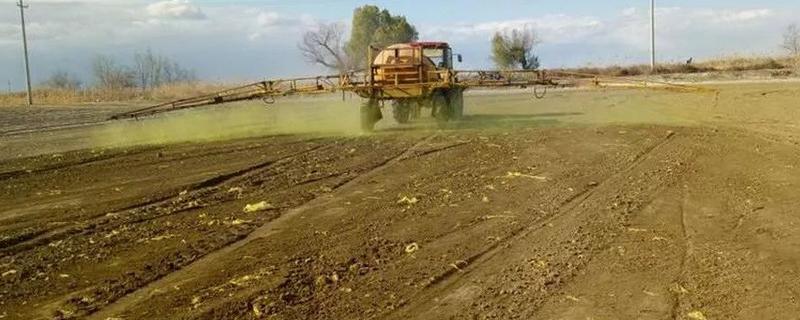 封闭药除草剂打完下雨有没有影响，雨量小则没有影响
