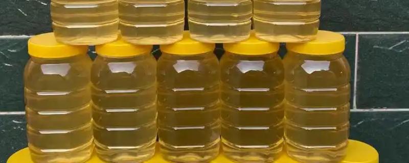 正宗土蜂蜜的价格,一斤超过200元