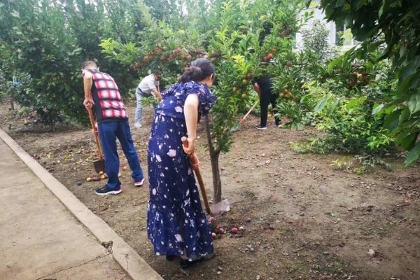 台风来临前要准备什么,要及时关紧门窗