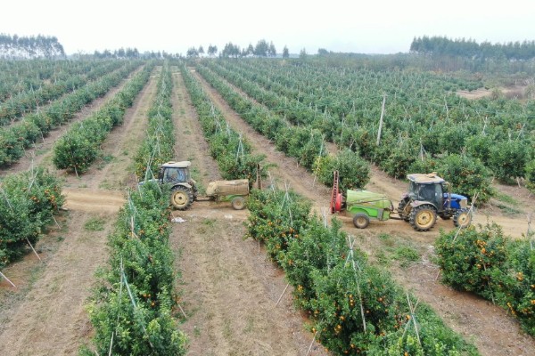 台风来临前要准备什么,要及时关紧门窗
