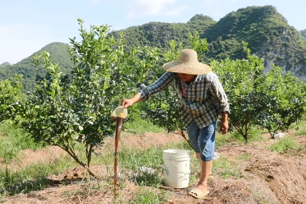 台风来临前要准备什么,要及时关紧门窗