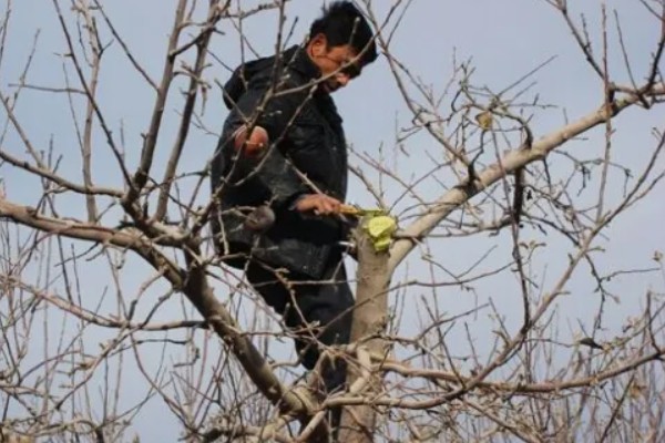 台风来临前要准备什么,要及时关紧门窗