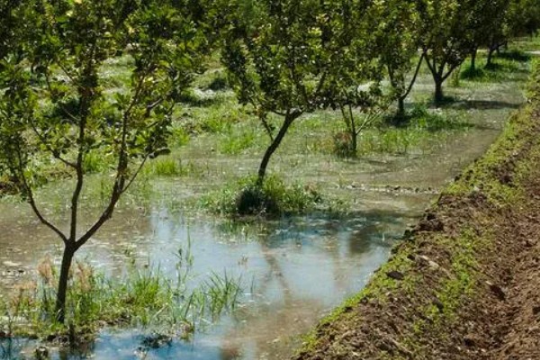 台风来临前要准备什么,要及时关紧门窗