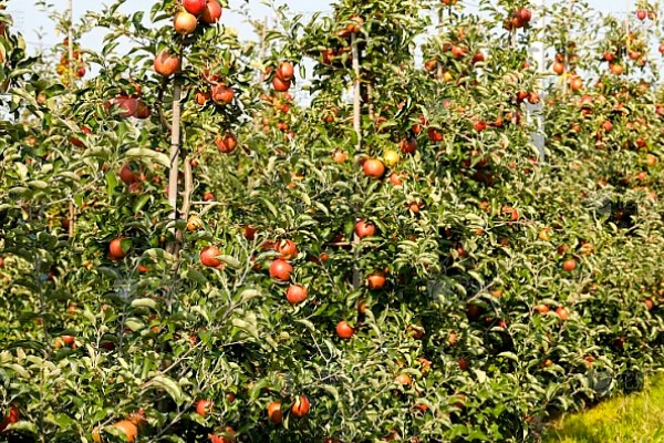 台风来临前要准备什么,要及时关紧门窗