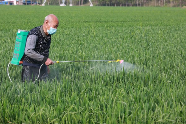 钾肥有什么用,可以促进碳水化合物和氮的代谢