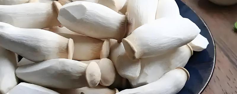 杏鲍菇和鸡腿菇有什么区别，菌盖颜色、形状等方面都不同