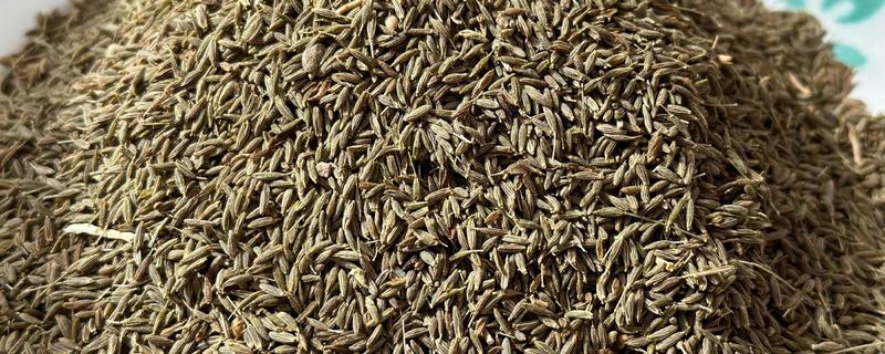 孜然的价格，一斤需要7-11元左右