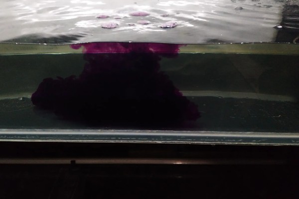 60草缸二氧化碳一秒几泡，二氧化碳一秒1-2泡就可以了