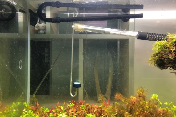 60草缸二氧化碳一秒几泡，二氧化碳一秒1-2泡就可以了