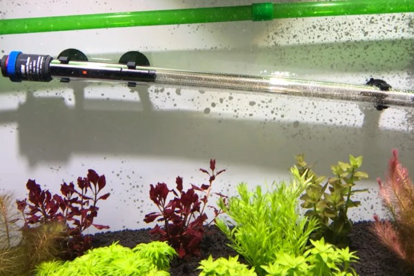 60草缸二氧化碳一秒几泡，二氧化碳一秒1-2泡就可以了