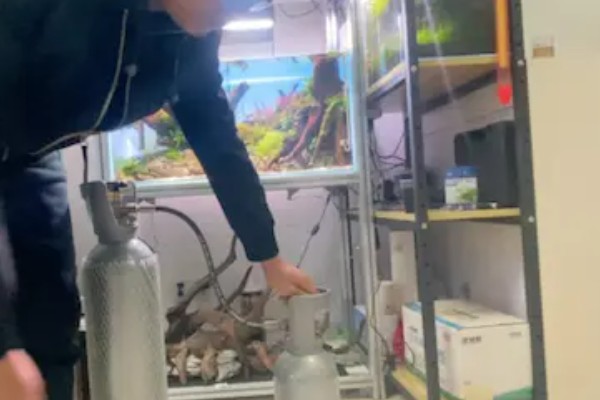 60草缸二氧化碳一秒几泡，二氧化碳一秒1-2泡就可以了