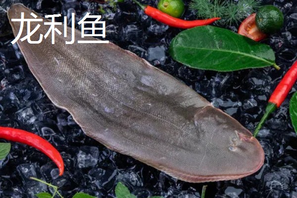 龙利鱼是不是巴沙鱼,二者并非是同一个品种