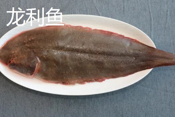 龙利鱼是不是巴沙鱼,二者并非是同一个品种