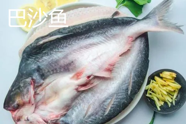 龙利鱼是不是巴沙鱼,二者并非是同一个品种