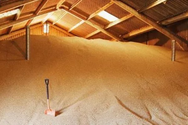 超级水稻的培育时间，在1996年