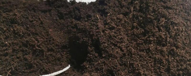 基质土和营养土有什么区别，原料、土质、培育对象都不同