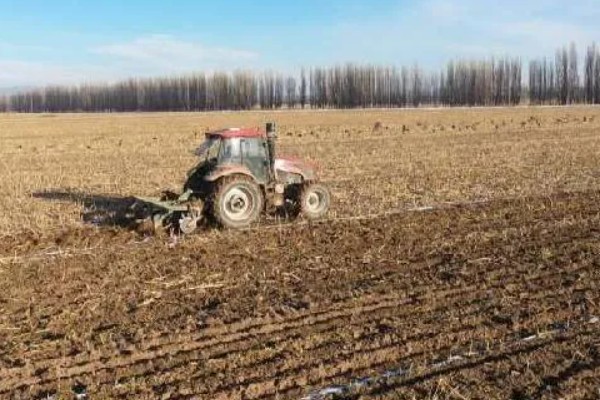 节水抗旱的栽培措施,常见的有增施有机肥、深耕深松等