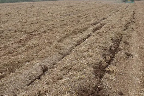 节水抗旱的栽培措施,常见的有增施有机肥、深耕深松等