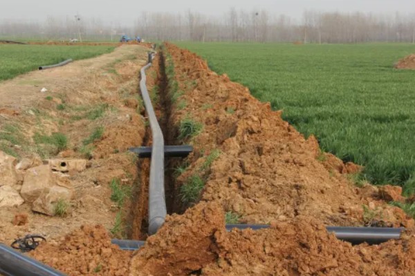 节水抗旱的栽培措施,常见的有增施有机肥、深耕深松等